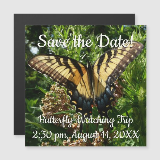 アゲハチョウバタフライIII美しいカラフル写真 (正面/裏面)