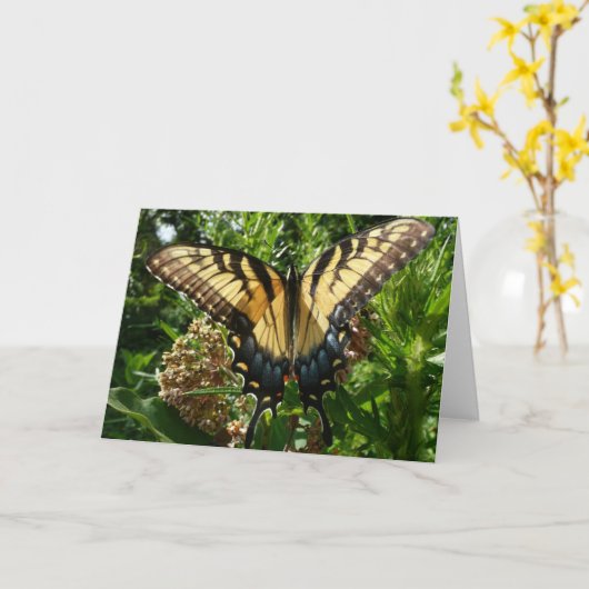 アゲハチョウバタフライIII美しいカラフル写真 カード (黄色い花)