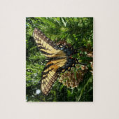 アゲハチョウバタフライIII美しいカラフル写真 ジグソーパズル (縦)