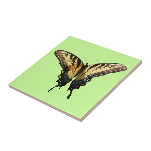 アゲハチョウバタフライIII美しいカラフル写真 タイル (側面)