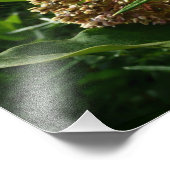 アゲハチョウバタフライIII美しいカラフル写真 フォトプリント            (角)