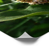 アゲハチョウバタフライIII美しいカラフル写真 ポスター (角)