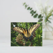 アゲハチョウバタフライIII美しいカラフル写真 ポストカード (スタンド正面)