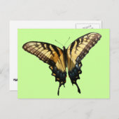 アゲハチョウバタフライIII美しいカラフル写真 ポストカード (正面/裏面)