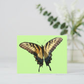 アゲハチョウバタフライIII美しいカラフル写真 ポストカード (スタンド正面)