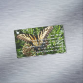 アゲハチョウバタフライIII美しいカラフル写真 マグネット名刺 (インサイチュ)