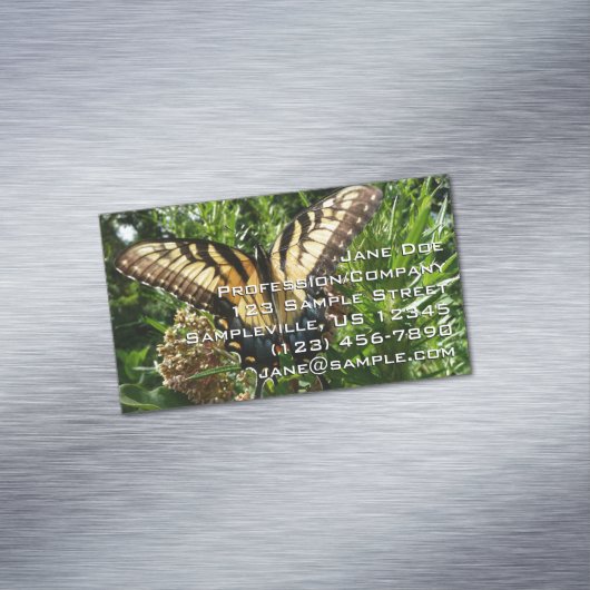 アゲハチョウバタフライIII美しいカラフル写真 マグネット名刺 (インサイチュ)