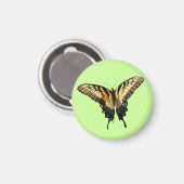 アゲハチョウバタフライIII美しいカラフル写真 マグネット (正面/裏面)