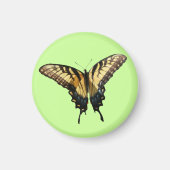 アゲハチョウバタフライIII美しいカラフル写真 マグネット (正面)