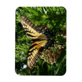 アゲハチョウバタフライIII美しいカラフル写真 マグネット (縦)