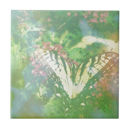 アゲハチョウ期限切れフィルム タイル (正面)
