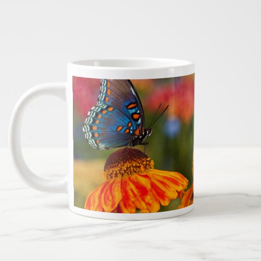 アゲハチョウ科の蝶 Papilio troilus ジャンボコーヒーマグカップ (左)