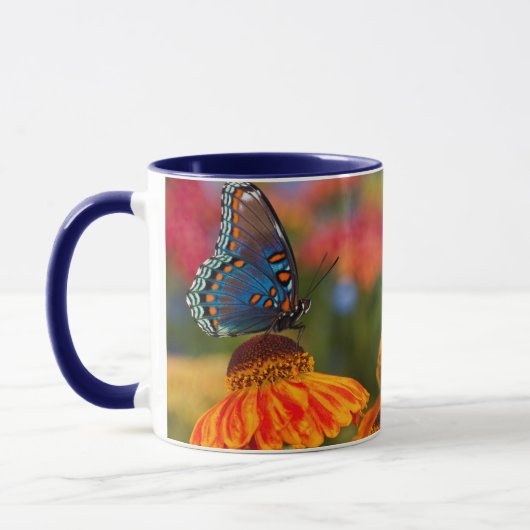 アゲハチョウ科の蝶 Papilio troilus マグカップ (左)
