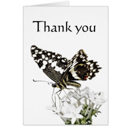 アゲハチョウ蝶が白に浮かぶ