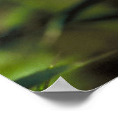 アゲハチョウ蝶と蜂の花。 ポスター (角)