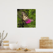 アゲハチョウ蝶と蜂の花。 ポスター (キッチン)