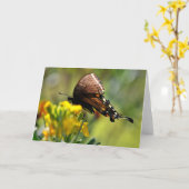 アゲハチョウ蝶のワイルドフラワーノートカード カード (黄色い花)