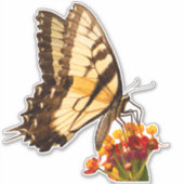 アゲハチョウ蝶の上にムラサキの花 シール (正面)