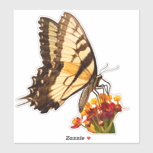 アゲハチョウ蝶の上にムラサキの花 シール (シート)