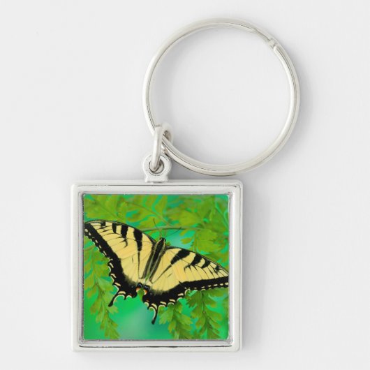 アゲハチョウ蝶の着陸 キーホルダー (正面)