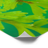 アゲハチョウ蝶の着陸 ポスター (角)