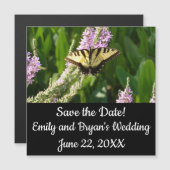 アゲハチョウ蝶の紫色の野生の花 (正面/裏面)