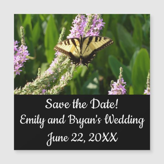 アゲハチョウ蝶の紫色の野生の花 (正面)