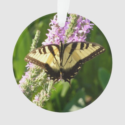アゲハチョウ蝶の紫色の野生の花 オーナメント (正面)