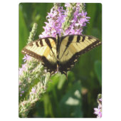 アゲハチョウ蝶の紫色の野生の花 クリップボード (裏面)