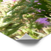 アゲハチョウ蝶の紫色の野生の花 ポスター (角)