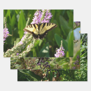 アゲハチョウ蝶の紫色の野生の花 ラッピングペーパーシート