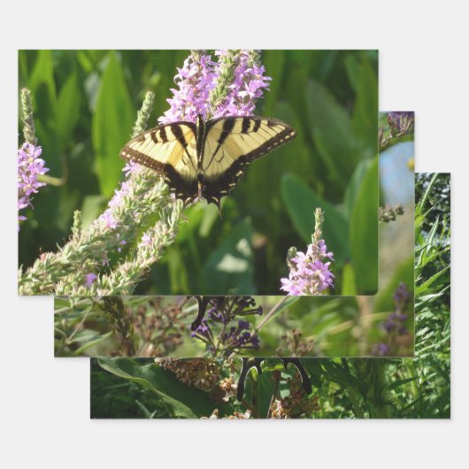 アゲハチョウ蝶の紫色の野生の花 ラッピングペーパーシート (セット)