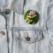 アゲハチョウ蝶の紫色の野生の花 缶バッジ (インサイチュ)