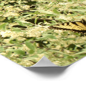 アゲハチョウ蝶の花の低木 ポスター (角)