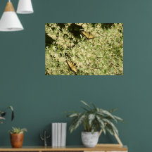 アゲハチョウ蝶の花の低木