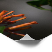 アゲハチョウ蝶の花の写真 ポスター (角)