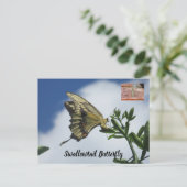 アゲハチョウ蝶はがき ポストカード (スタンド正面)
