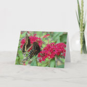 アゲハチョウ蝶オンレッドペンタ花 カード (正面)