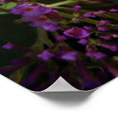 アゲハチョウ蝶ポスター ポスター (角)