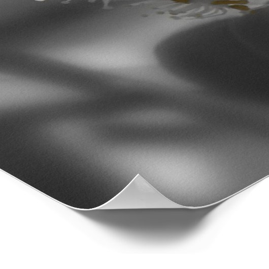 アゲハチョウ蝶ポスター ポスター (角)