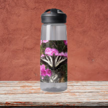 アゲハチョウ蝶自然写真