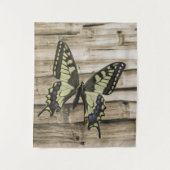 アゲハチョウ蝶 タペストリー (正面)