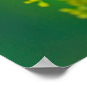 アゲハチョウ蝶 ポスター (角)