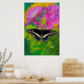 アゲハチョウ蝶 ポスター (キッチン)