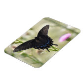 アゲハチョウ蝶 マグネット (左側)