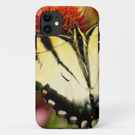 アゲハチョウ蝶 Case-Mate iPhoneケース (裏面)