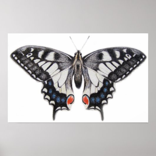 アゲハチョウ2012 ポスター (正面)