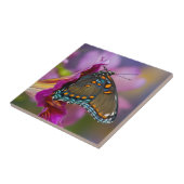 アゲハチョウ タイル (側面)