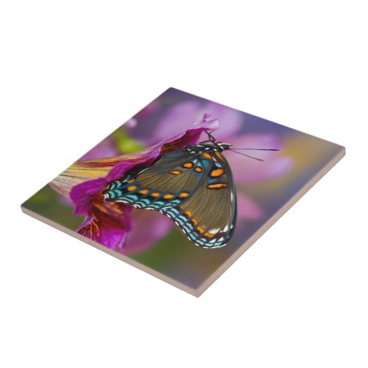 アゲハチョウ タイル (側面)