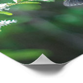 アゲハチョウ ポスター (角)